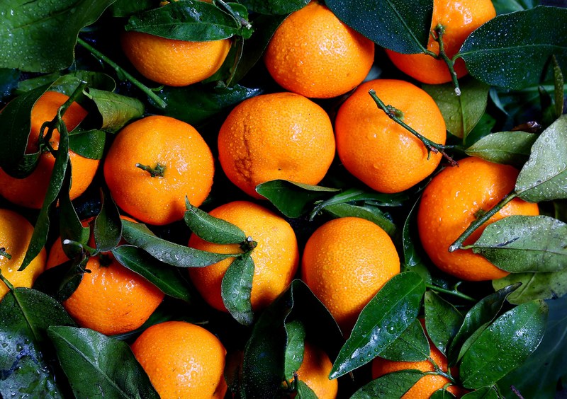 washed oranges and green leaves freshly picked, orange fruit 4k
