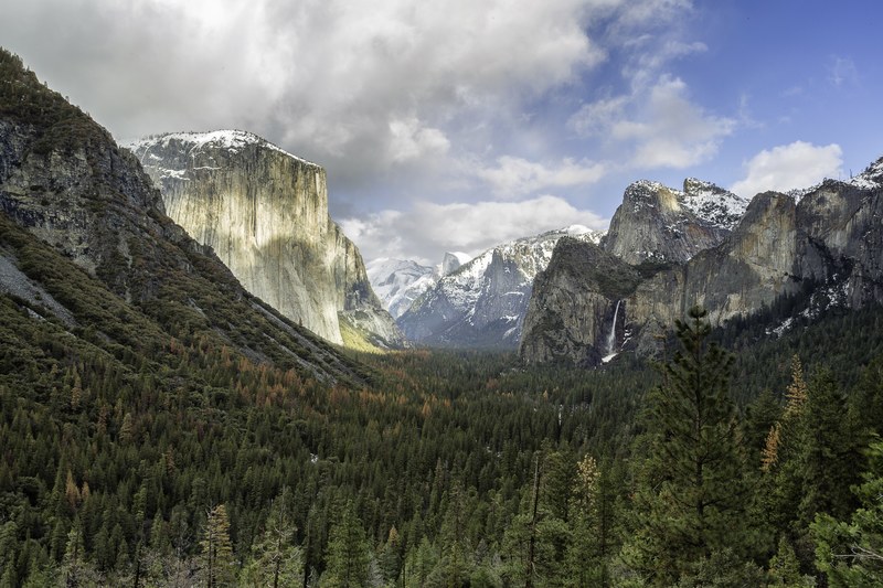 a landscape view of the wooded bottom of the yosemite valley, the valley 4k