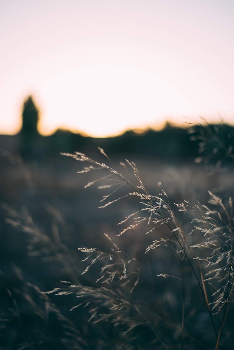 moroccan sunset 4k