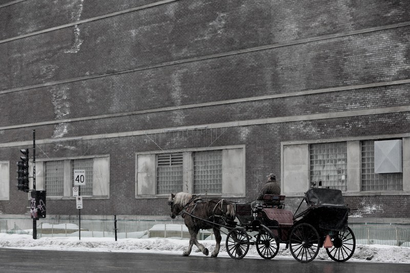 a desaturated shot of a man on a carriage pulled by a horse, horse carriage on the road 4k