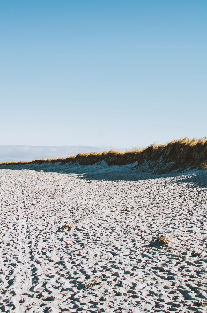 white sand beach with grass dunes, white sand beach 4k