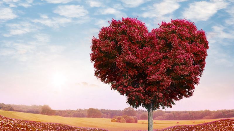 tree, heart, photoshop, leaves, 4k