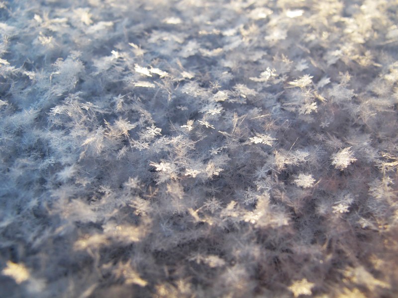 looking down at snowflakes covering the frozen winter grounds in dalsjfors sweden, snowflakes 4k