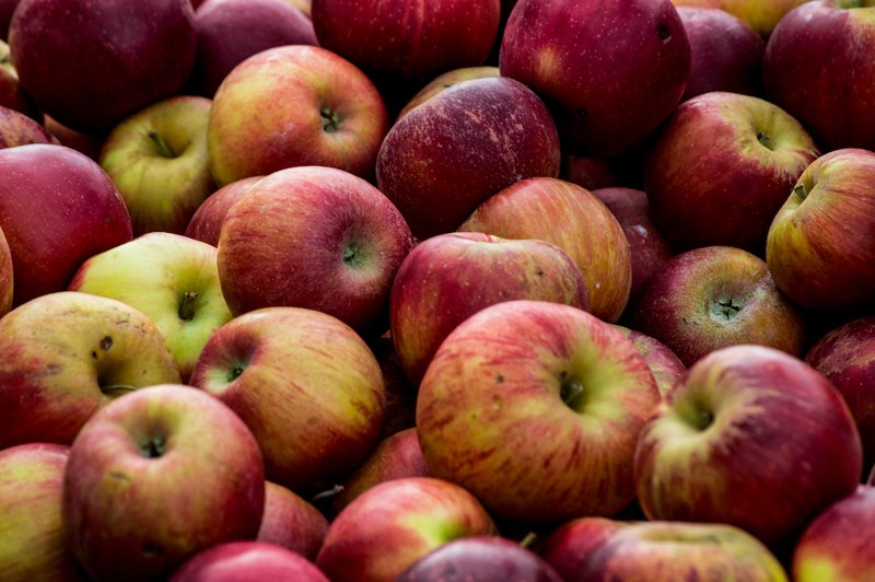 fresh apple from orchard 4k