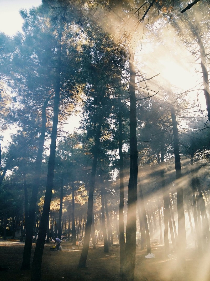 dancing with lights 4k