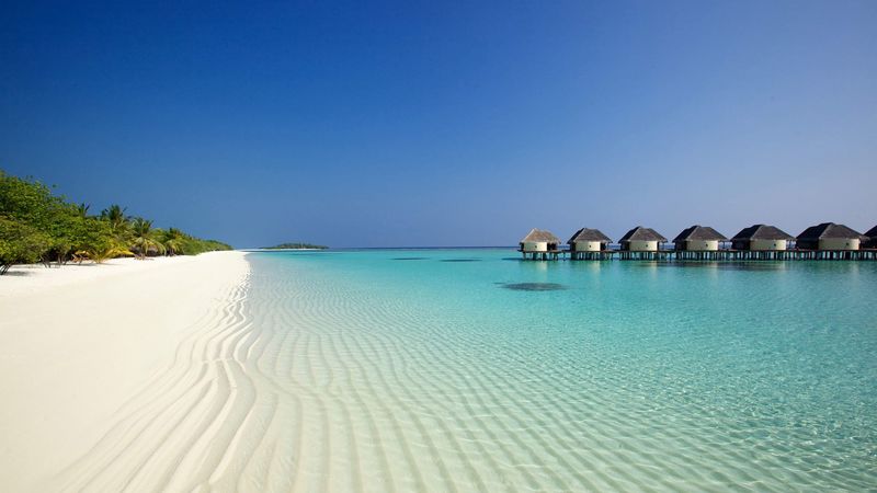 beach, ocean, sand, palm trees, bungalows, 4k