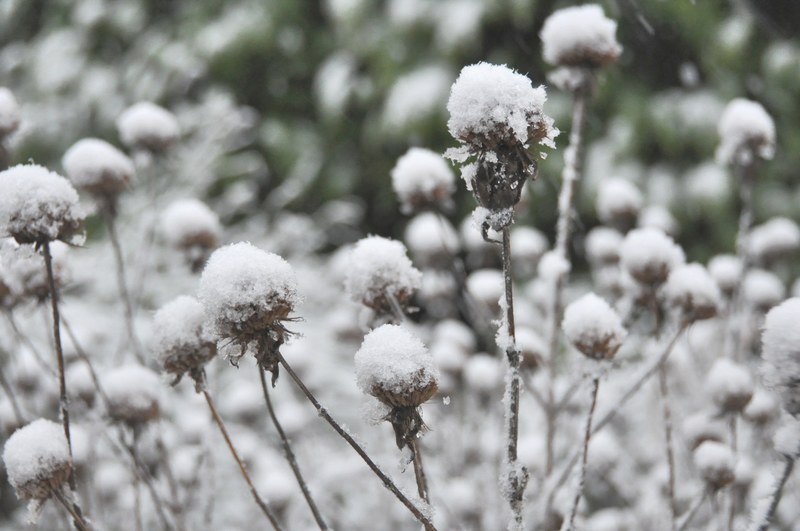 winter wonderland 4k