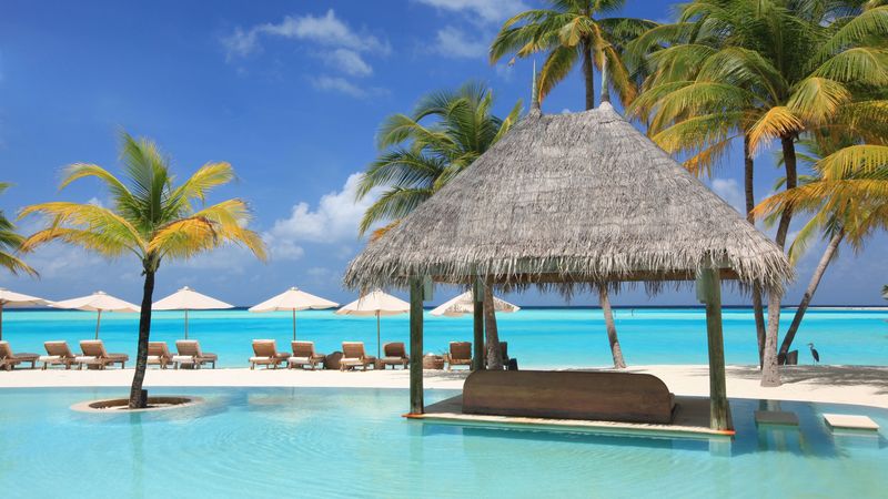 palm trees, vacation, sun beds, pool, 4k