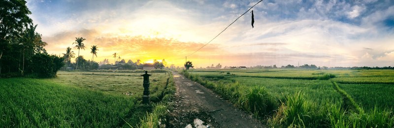 morning panorama in ubud 4k