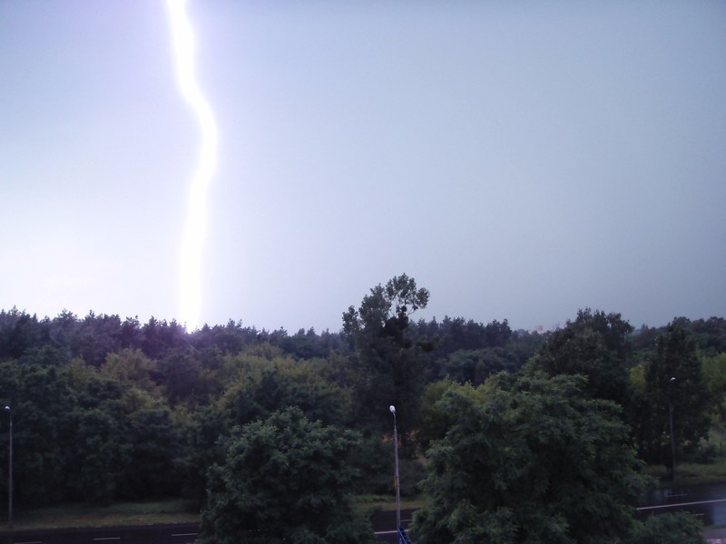 burza nad lasem 4k