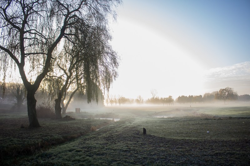misty golf course 4k