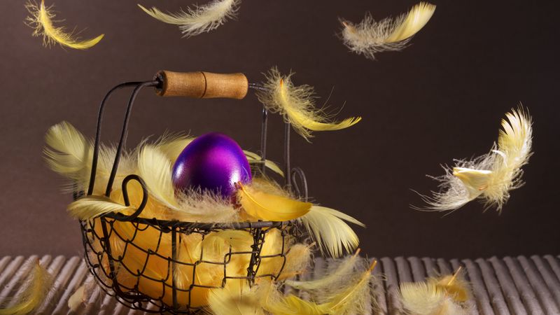 easter, basket, feathers, egg, 4k