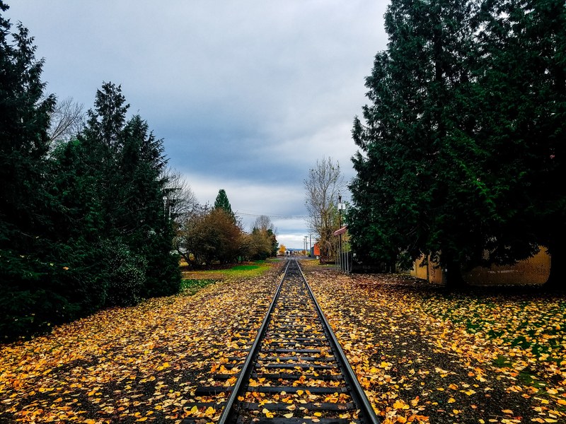 heading north in oregon 4k