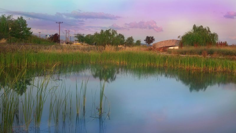nature, pond, bridge, road, 4k