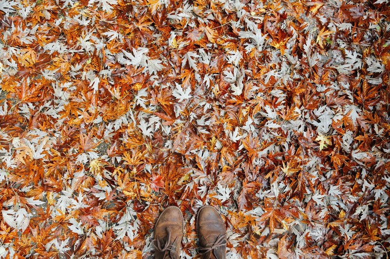 a person wearing boots standing on fallen orange leaves in autumn, autumn leaves 4k