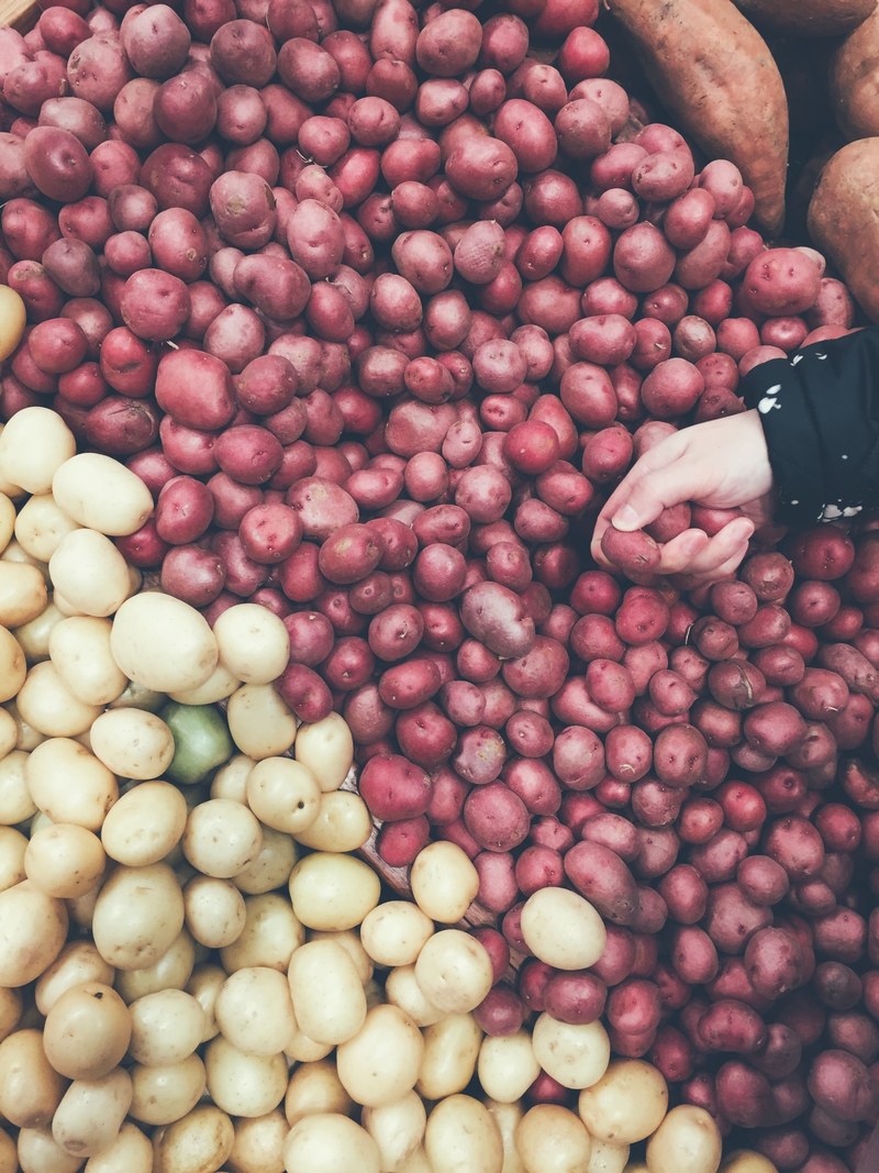 potato picking 4k