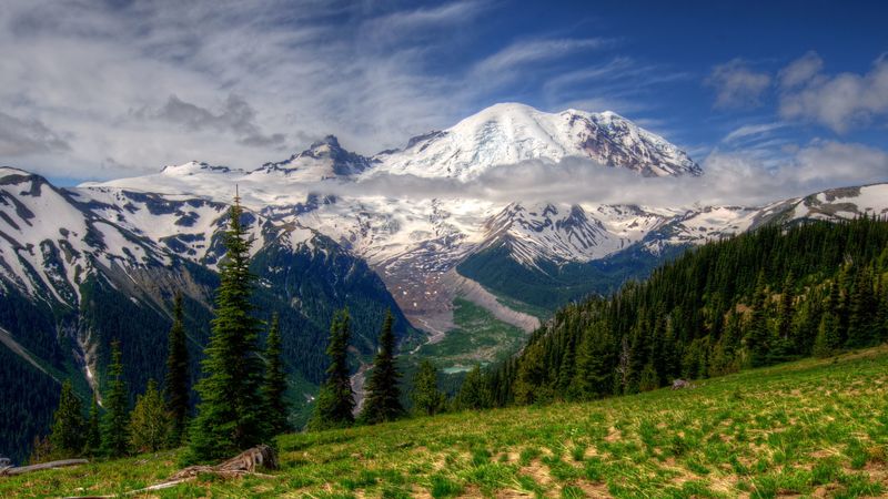 mountains, landscape, mt rainier, washington, grass, hdr, 4k