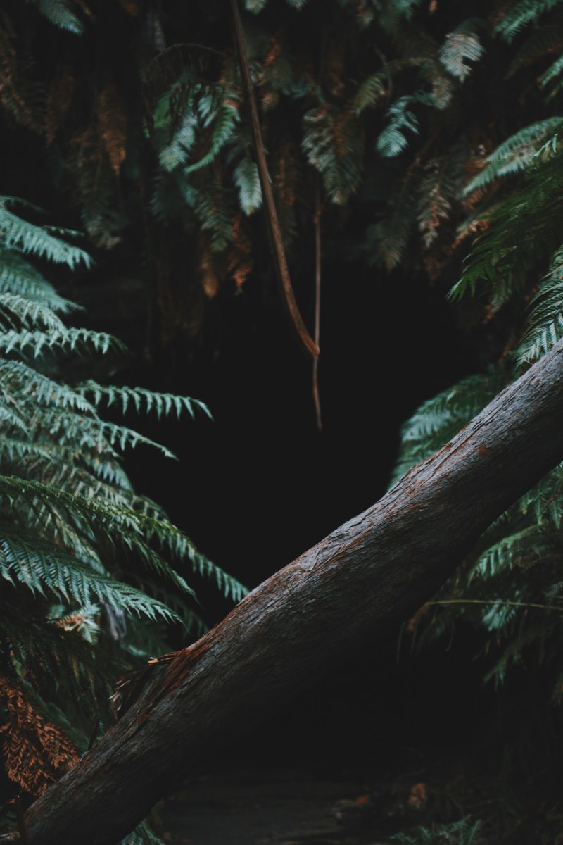lets get lost 4k
