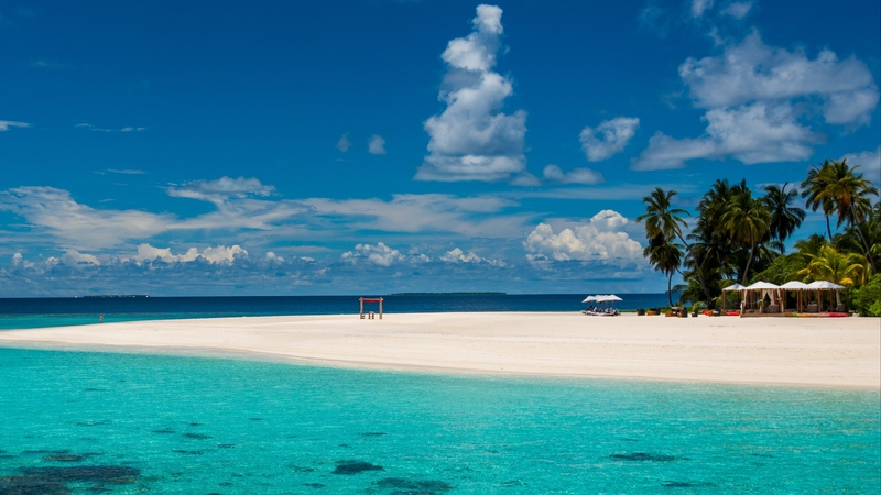 maldives, tropics, beach, palm trees, resort, 4k