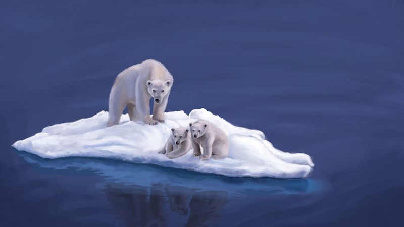 polar bears, drawing, island, 4k