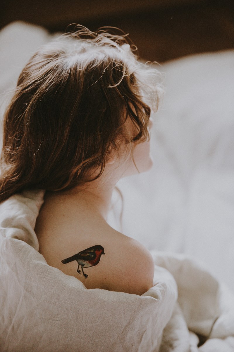 robin tattoo 4k