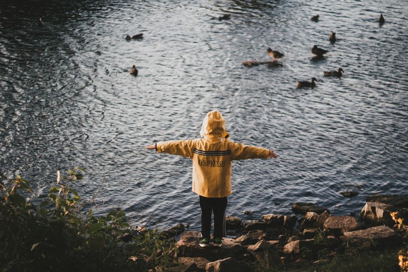 a person wearing a yellow rain jacket standing on rocks and looking at a pond full of ducks, _yellow rain jacket ducks 4k