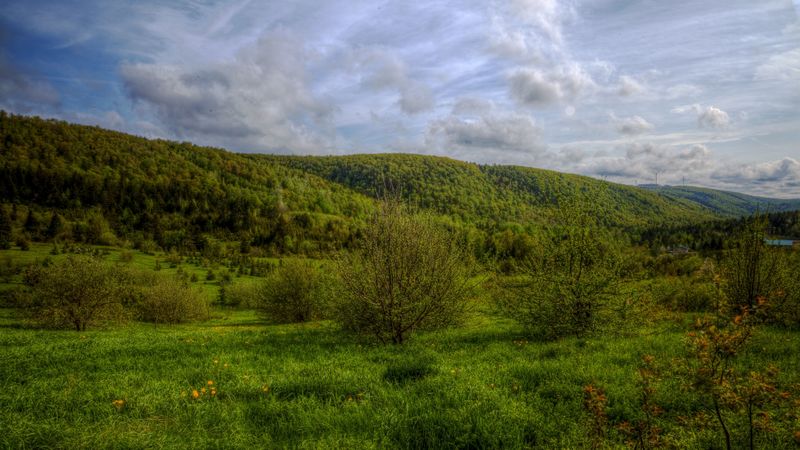 hills, trees, sky, landscape, 4k
