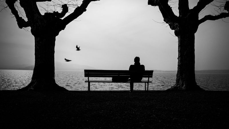 silhouette, bench, alone, bw, 4k