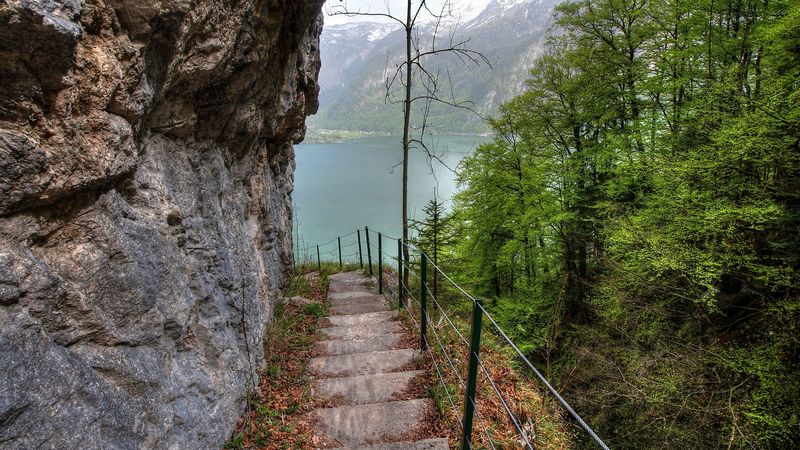 rock, lake, stairs, trees, slope, landscape, 4k