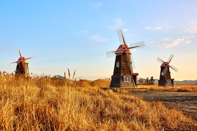 windmill in korea 4k