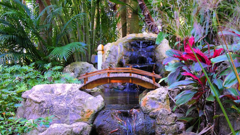 palm trees, rocks, plants, waterfall, bridge, interior, 4k