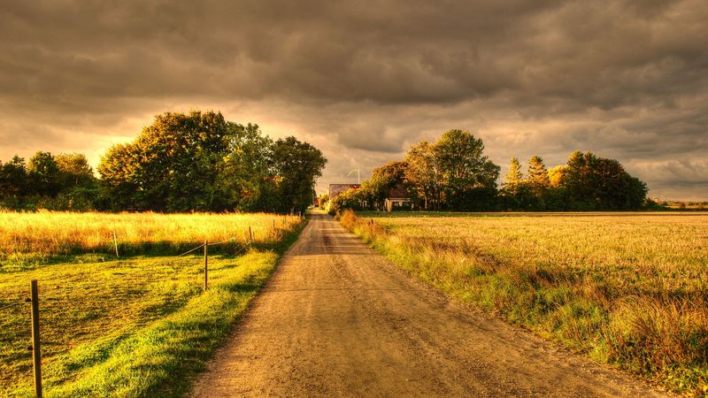 autumn, field, road, landscape, 4k
