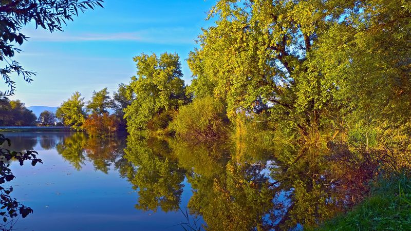 autumn, lake, trees, landscape, 4k