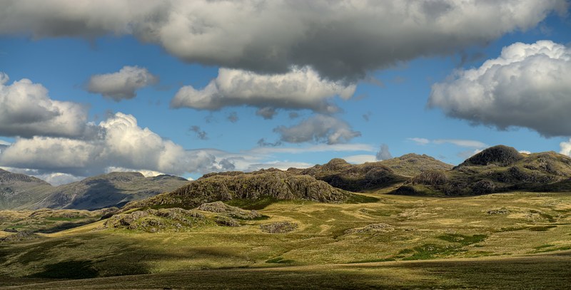 outdoor rock field and tree 4k