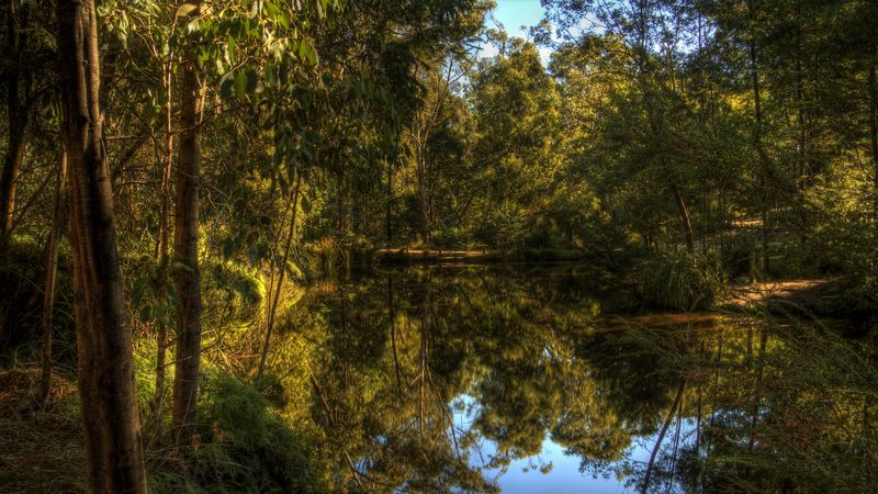 lake, forest, landscape, 4k