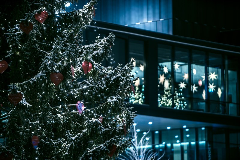 christmas three in winter night 4k