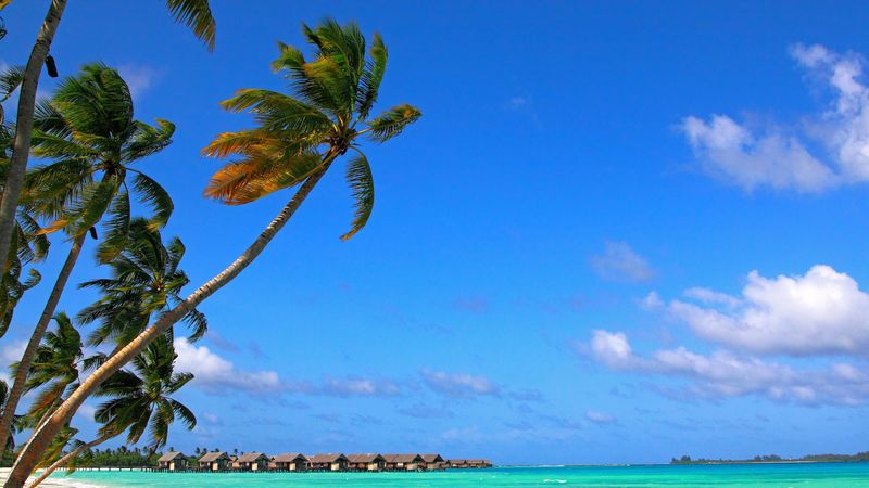 maldives, tropical, beach, summer, 4k