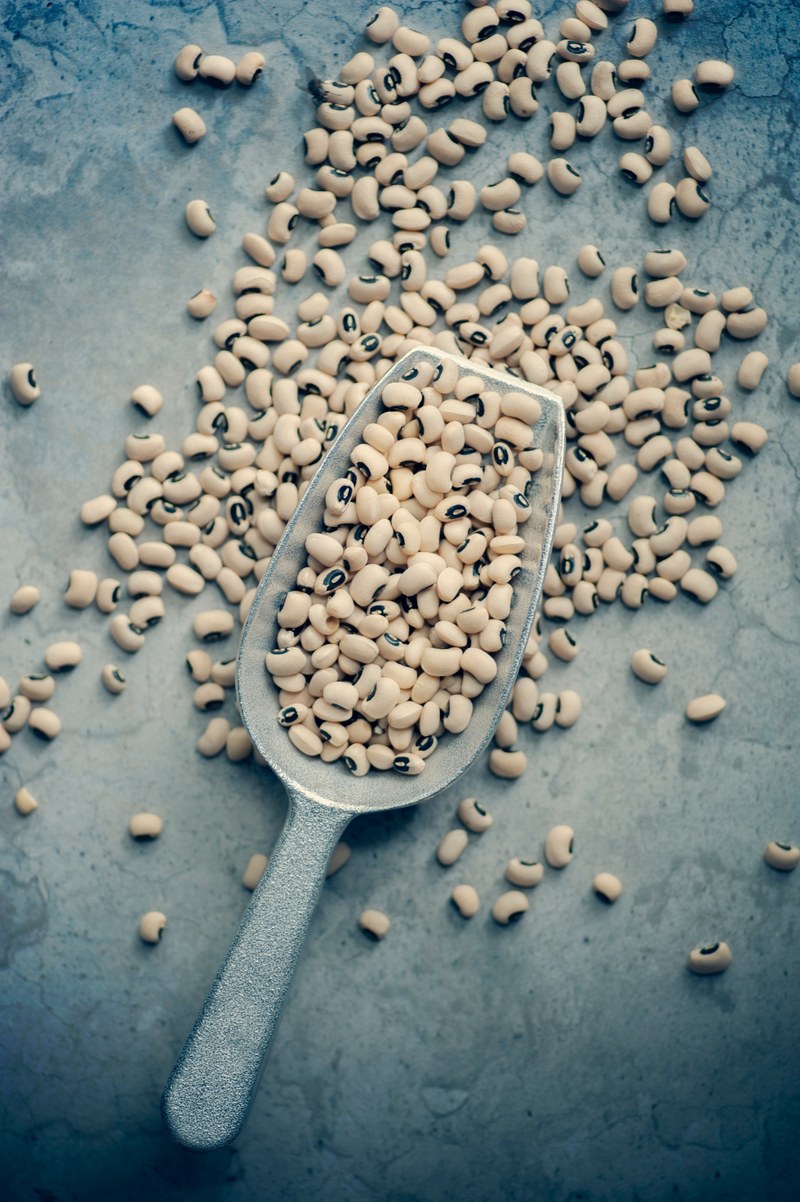 black eyed peas 4k
