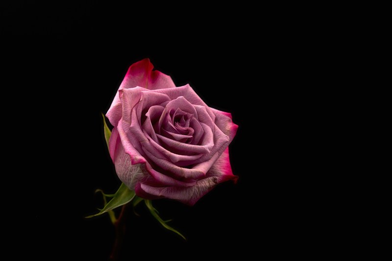 love in the dark 4k