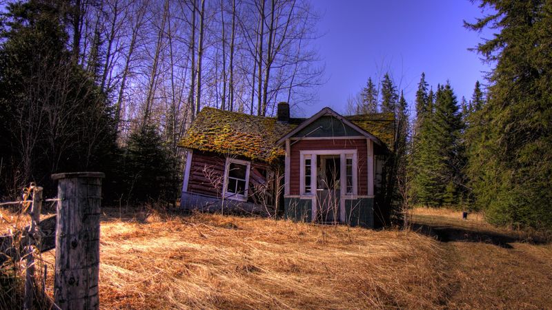 forest, house, landscape, 4k