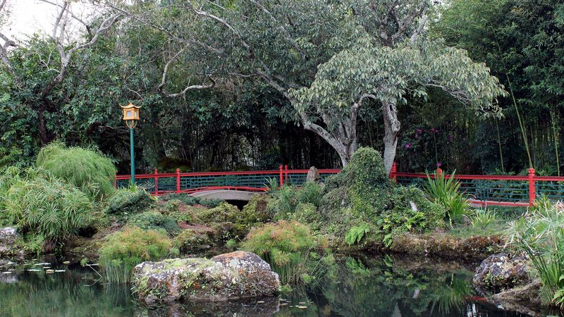 china, pavilion pond, park, pond, landscape, 4k