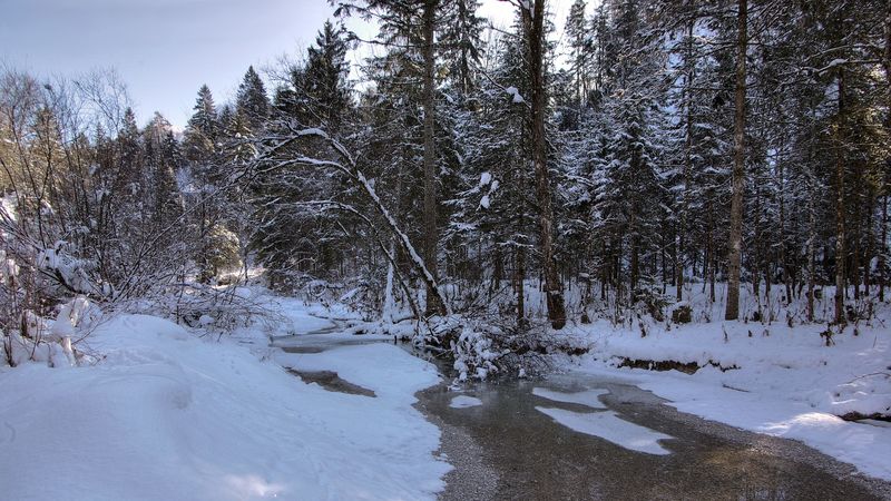 winter, snow, river, forest, landscape, 4k