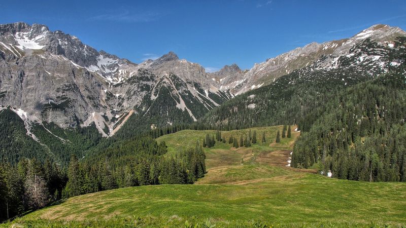 mountains, hills, trees, grass, landscape, 4k
