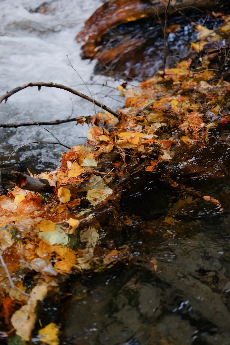 a beautiful accumulation 4k