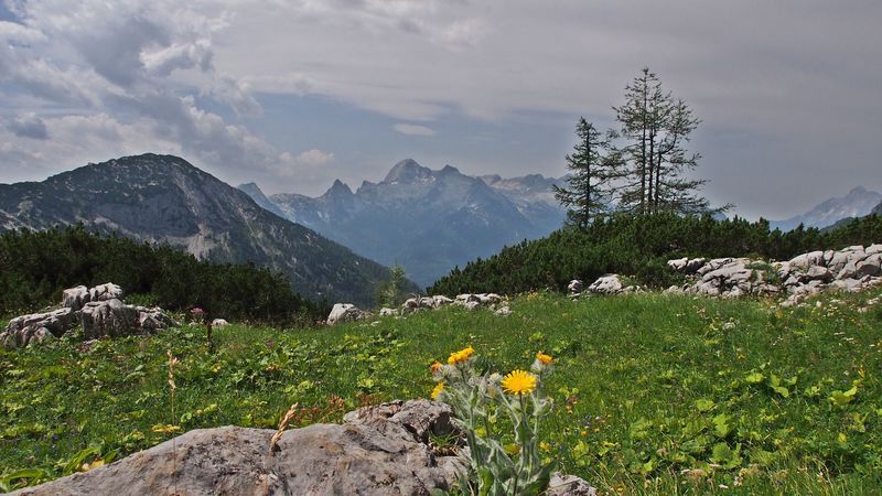 mountains, rocks, trees, landscape, 4k