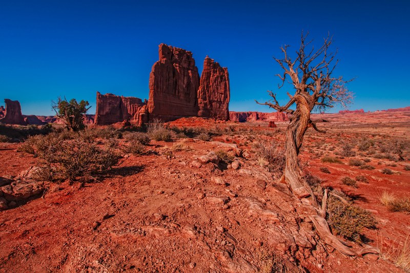 loving arches national park 4k