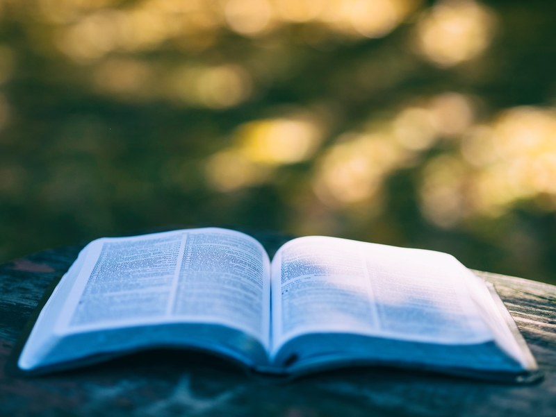 an open book on a wooden surface outdoors, open book in sun 4k