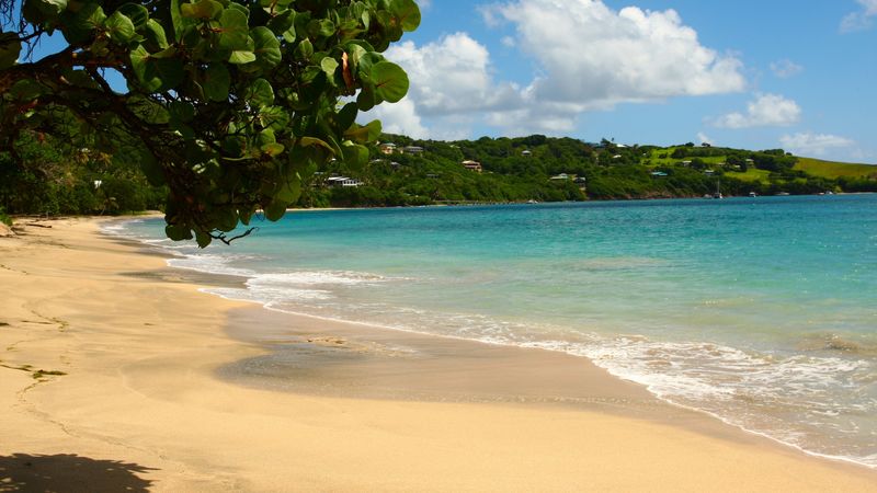 beach, tropics, sea, sand, 4k