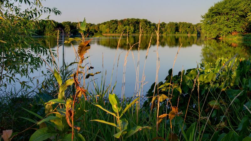 lake, trees, landscape, 4k
