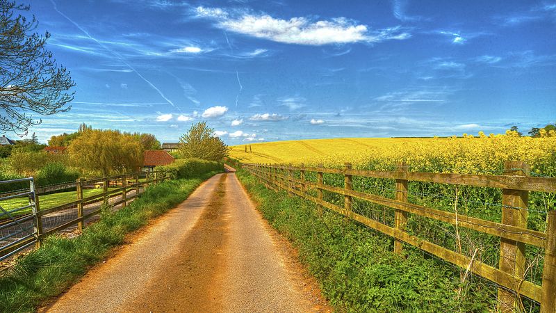 road, field, fence, house, landscape, 4k